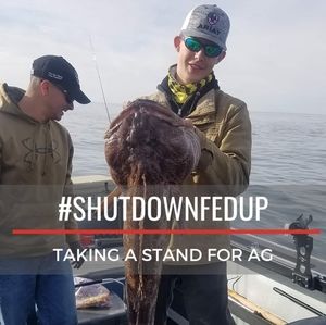 Meet your Posher, Kaiden